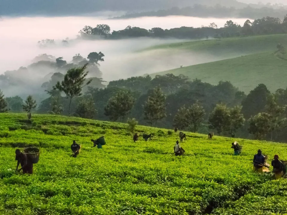 What’s the best national park for photographers?