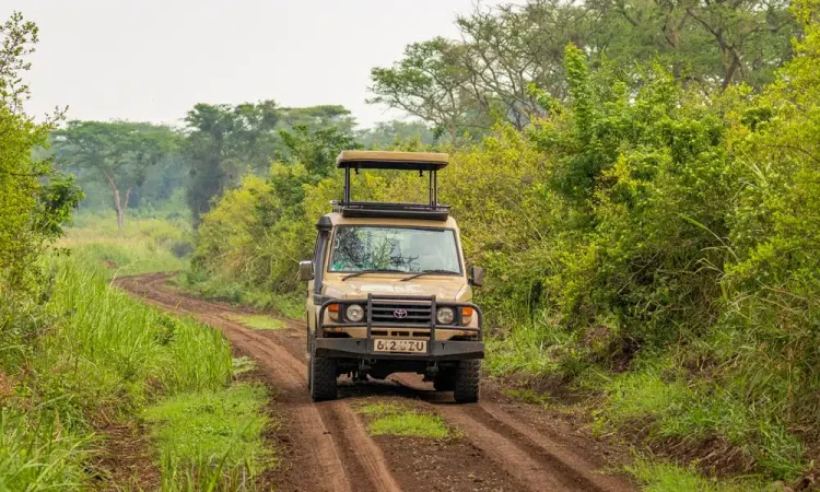 What’s the best route for a self-drive safari in Uganda?