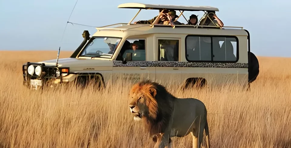 What’s the best time of year for wildlife photography in Kenya?