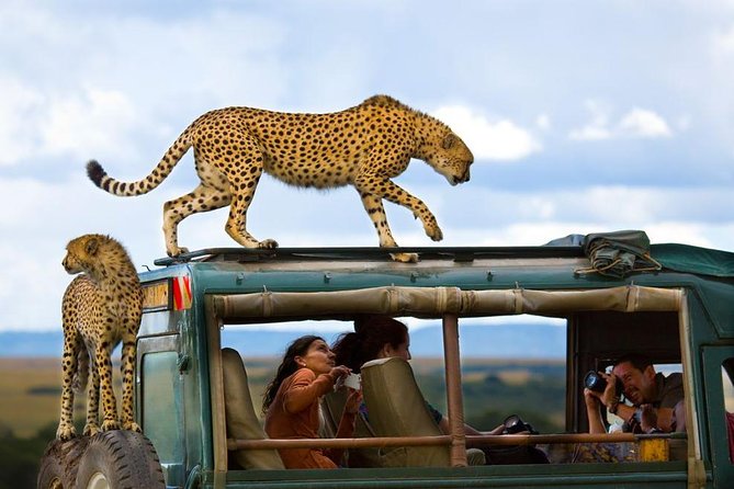 What’s the best time to visit Maasai Mara?
