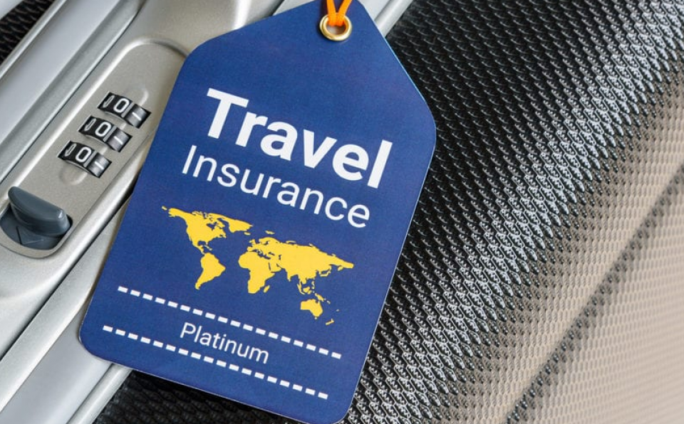 What’s the best travel insurance for safaris?