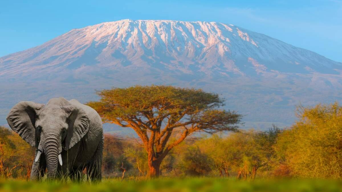 What’s the best view of Mount Kenya?
