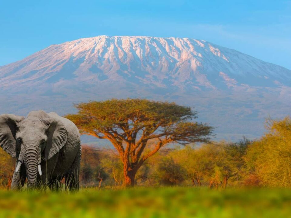 What’s the best view of Mount Kenya?