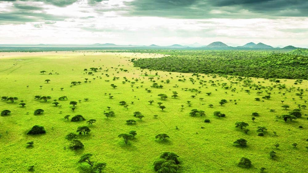 What’s the green season like in the Maasai Mara?