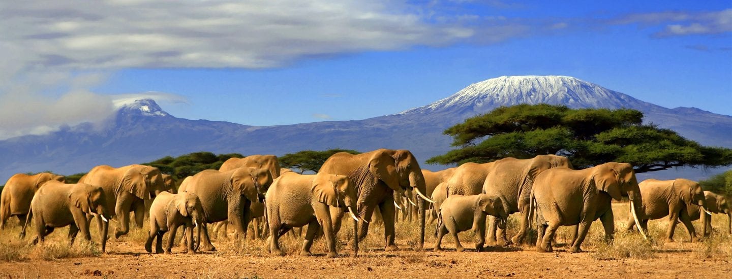 What’s the ultimate 14-day East Africa itinerary?