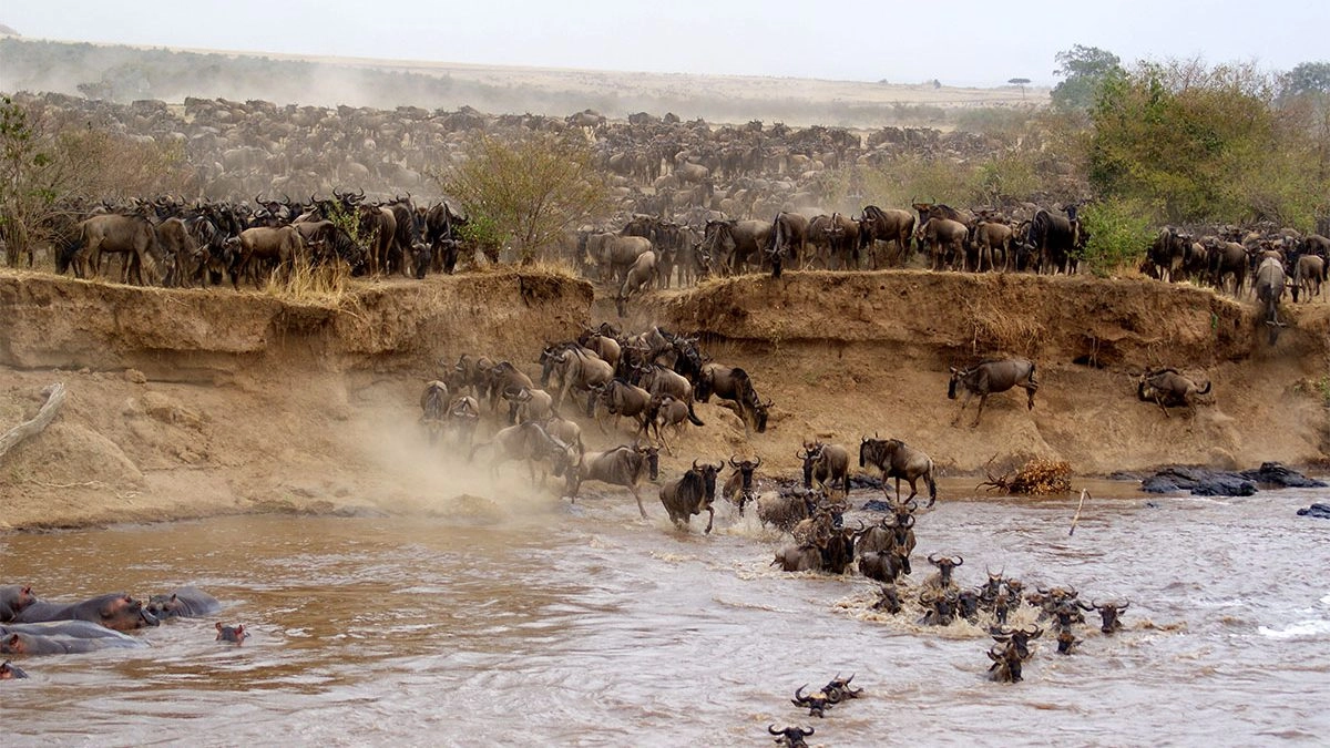 When is the Great Migration in Kenya?