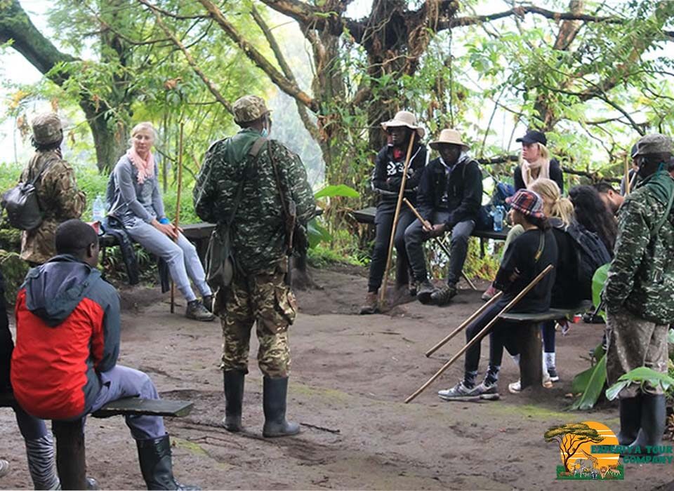 1 Day Gorilla Trekking Safari in Mgahinga Gorilla National Park