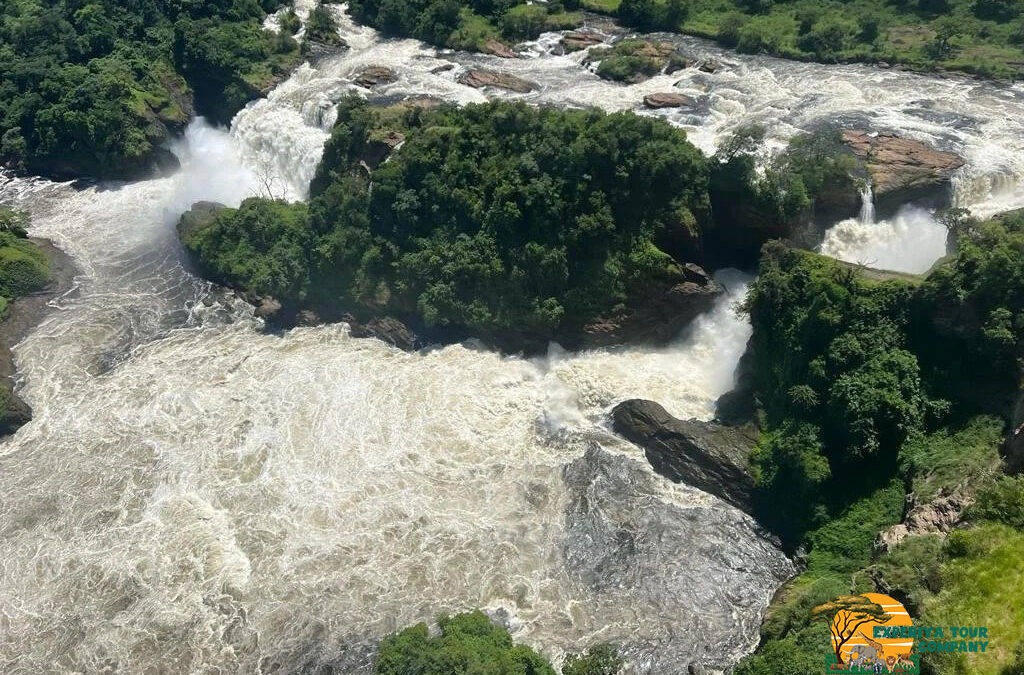 4-Days Murchison Falls Safari Adventure