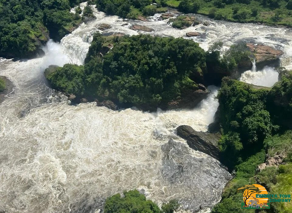 4-Days Murchison Falls Safari Adventure