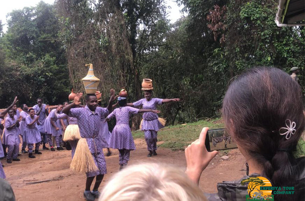 2-Day Bwindi Gorilla Trek Adventure from Kigali