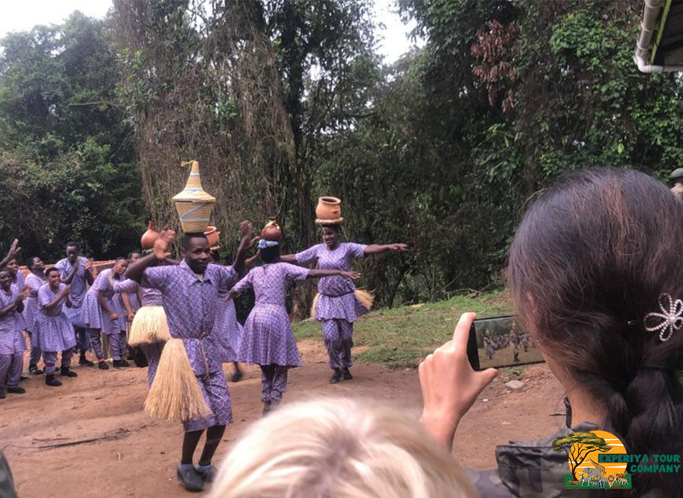 2-Day Bwindi Gorilla Trek Adventure from Kigali