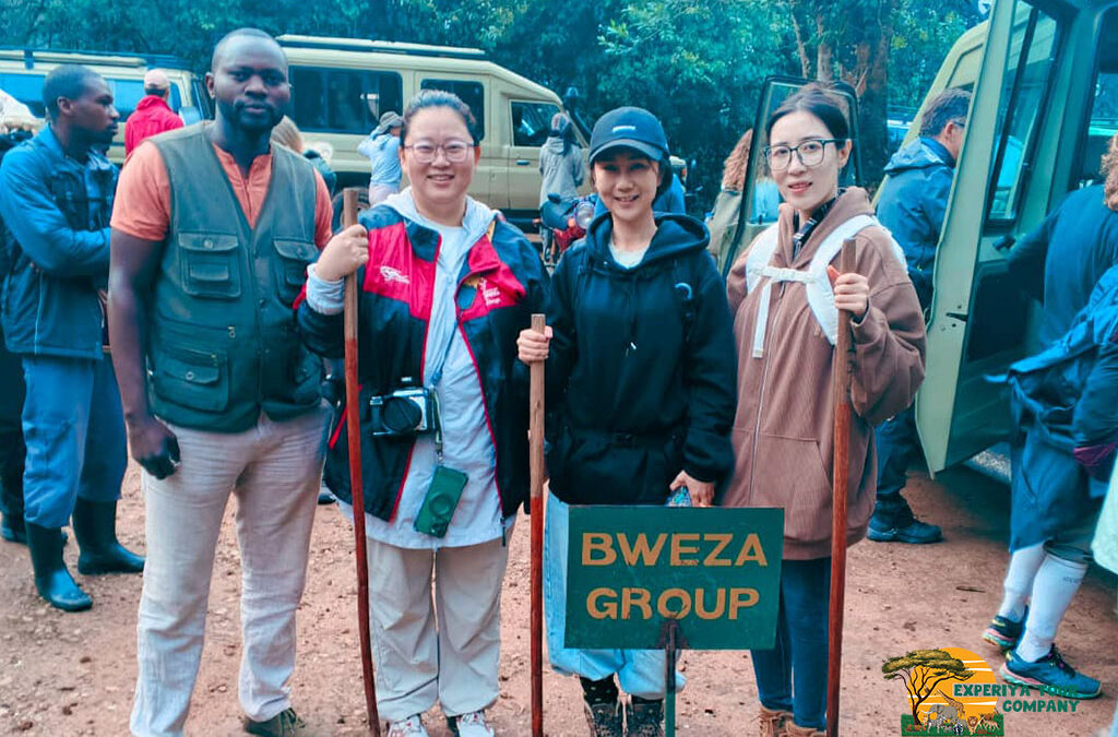 3 Days Lake Bunyonyi and Gorilla Trekking Safari