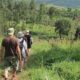 Guided Walk in Maramagambo Forest to Queen Elizabeth National Park