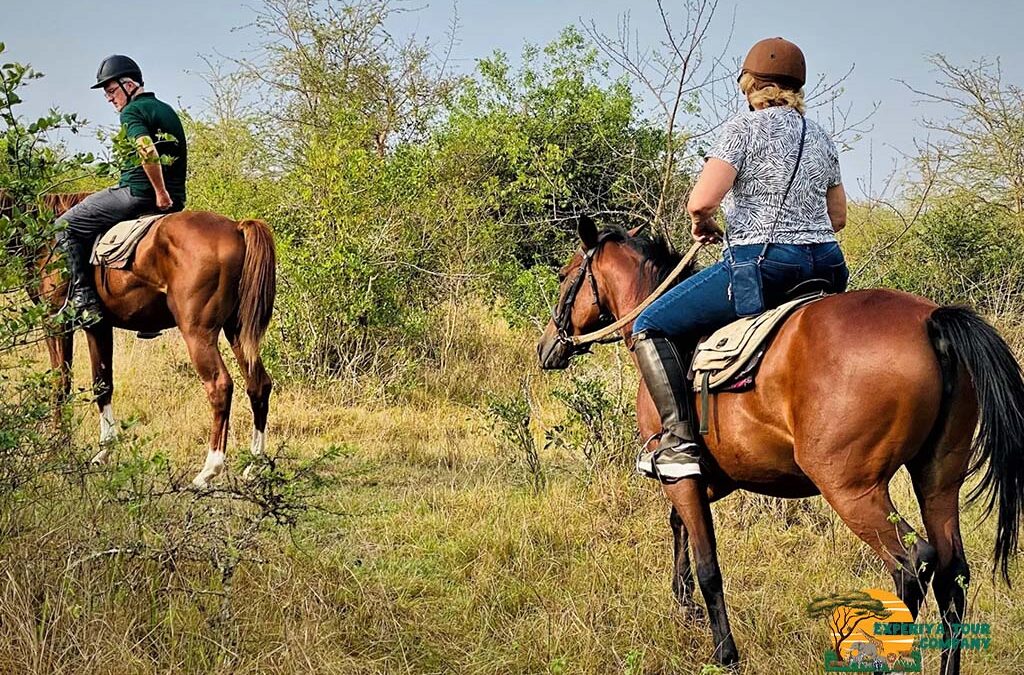 Horse Riding in Kigali: A Serene Escape on Rwanda’s Rolling Hills