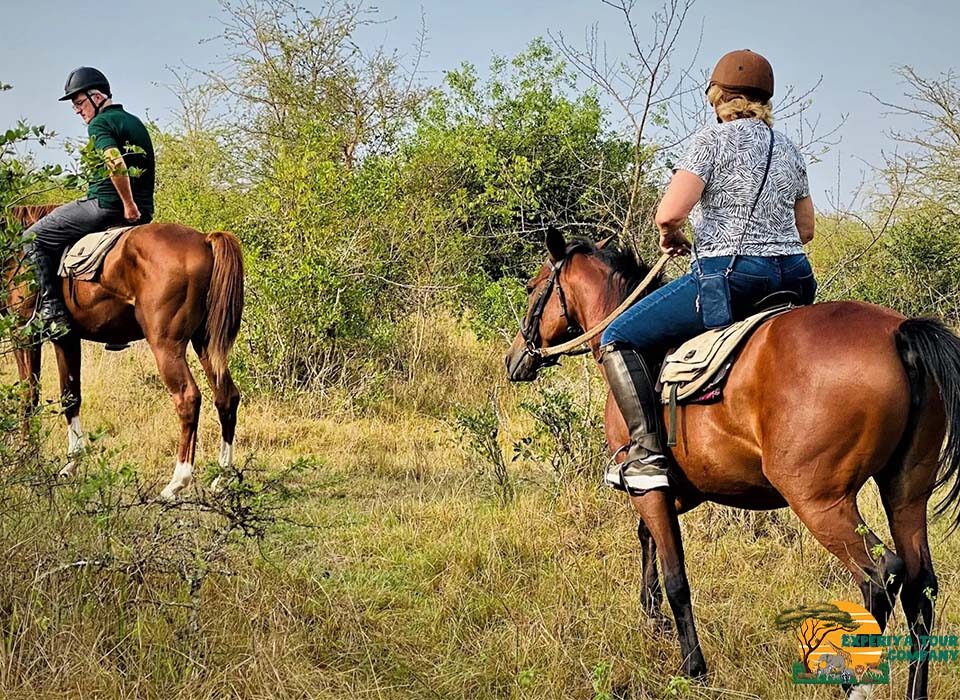 Horse Riding in Kigali: A Serene Escape on Rwanda’s Rolling Hills