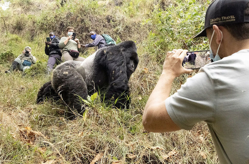How to Plan a Perfect 3-Day Mgahinga Gorilla Safari