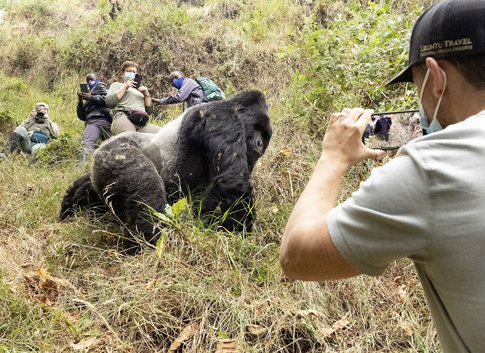 How to Plan a Perfect 3-Day Mgahinga Gorilla Safari