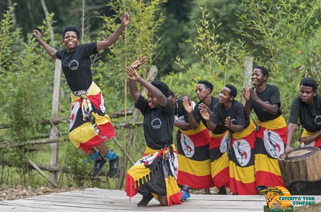 Discover the Nkuringo Batwa Cultural Experience in Uganda