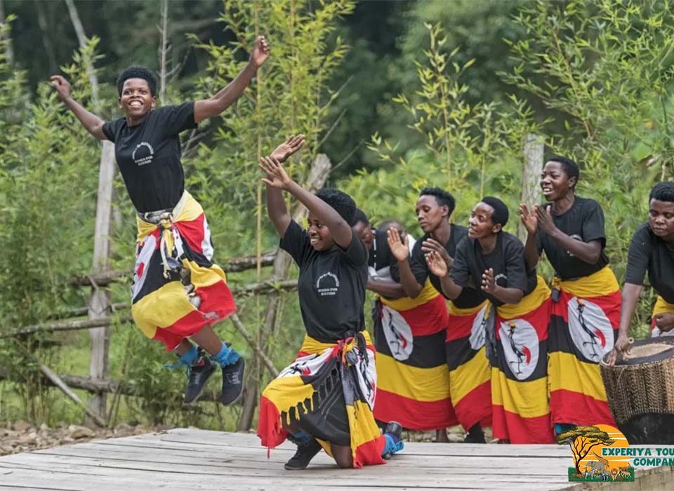 Discover the Nkuringo Batwa Cultural Experience in Uganda