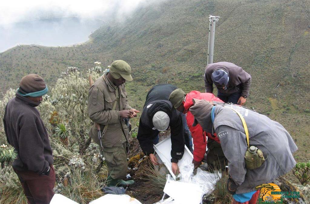 Mount Rwenzori National Park Adventures