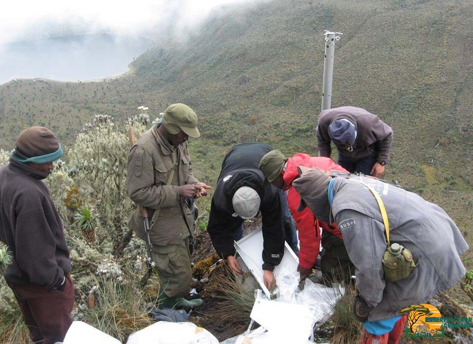 Mount Rwenzori National Park Adventures