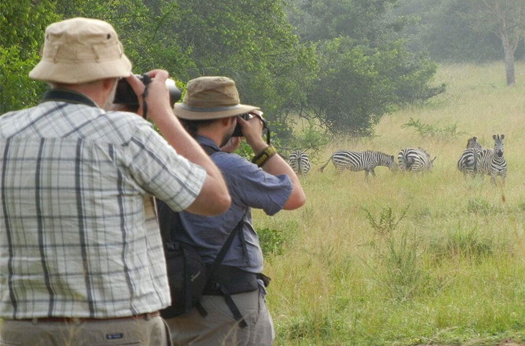 Top Wildlife Encounters at Lake Mburo