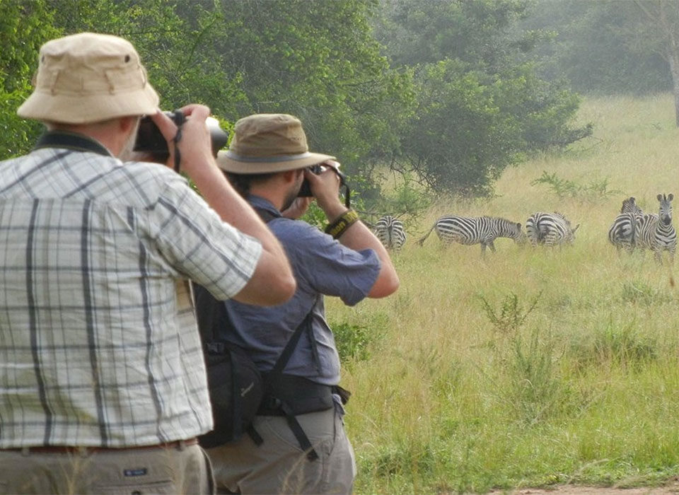 Top Wildlife Encounters at Lake Mburo