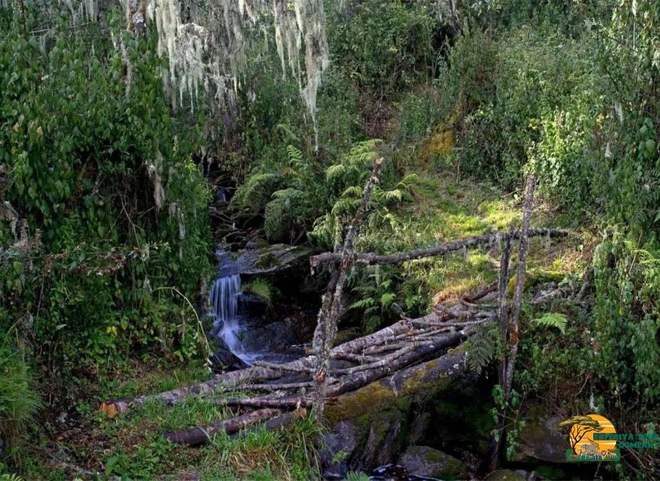 Major Attractions in Uganda and Rwanda