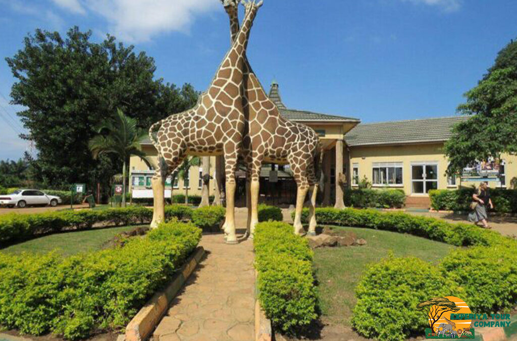 Things to Do at the Uganda Wildlife Education Centre