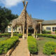 Things to Do at the Uganda Wildlife Education Centre
