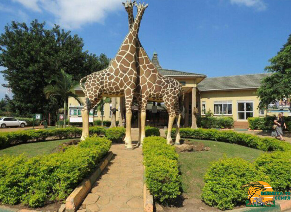 Things to Do at the Uganda Wildlife Education Centre