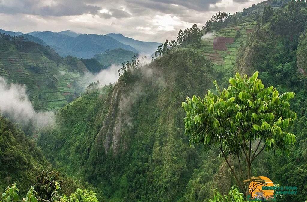 What You Need to Know About Uganda’s Weather and Climate