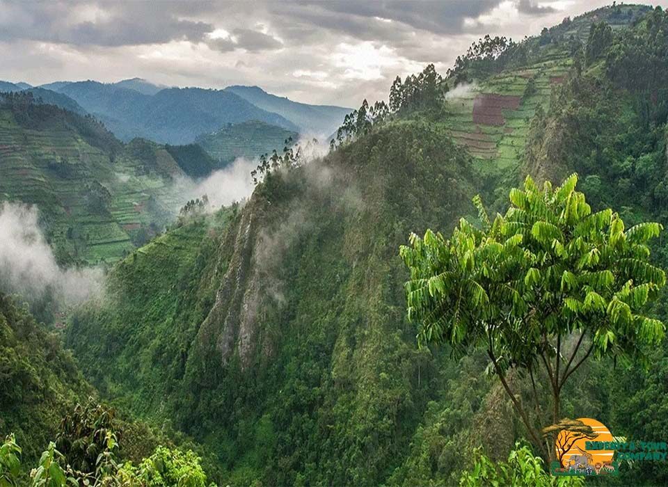 What You Need to Know About Uganda’s Weather and Climate