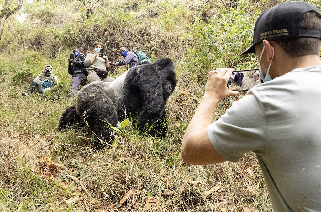 What to Expect on a Mgahinga Gorilla Trek