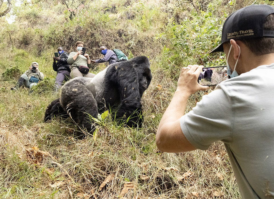 What to Expect on a Mgahinga Gorilla Trek