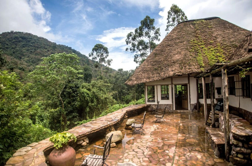 Why Stay at Engagi Lodge during Gorilla Safari