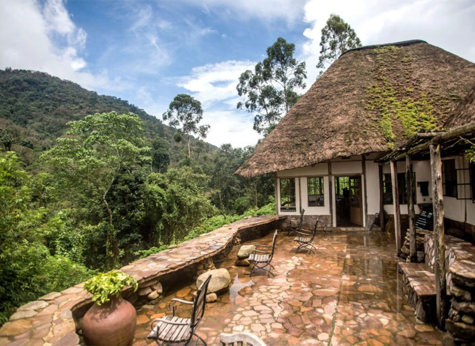 Why Stay at Engagi Lodge during Gorilla Safari