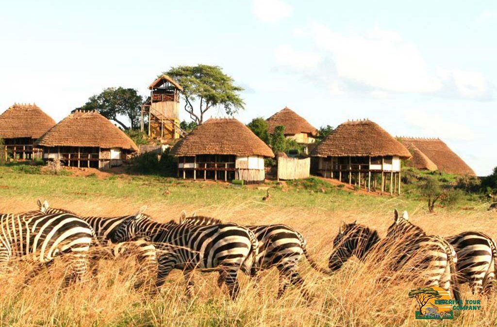 What Type of Accommodation Can I Expect on My Ugandan Tour?