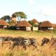 What Type of Accommodation Can I Expect on My Ugandan Tour?
