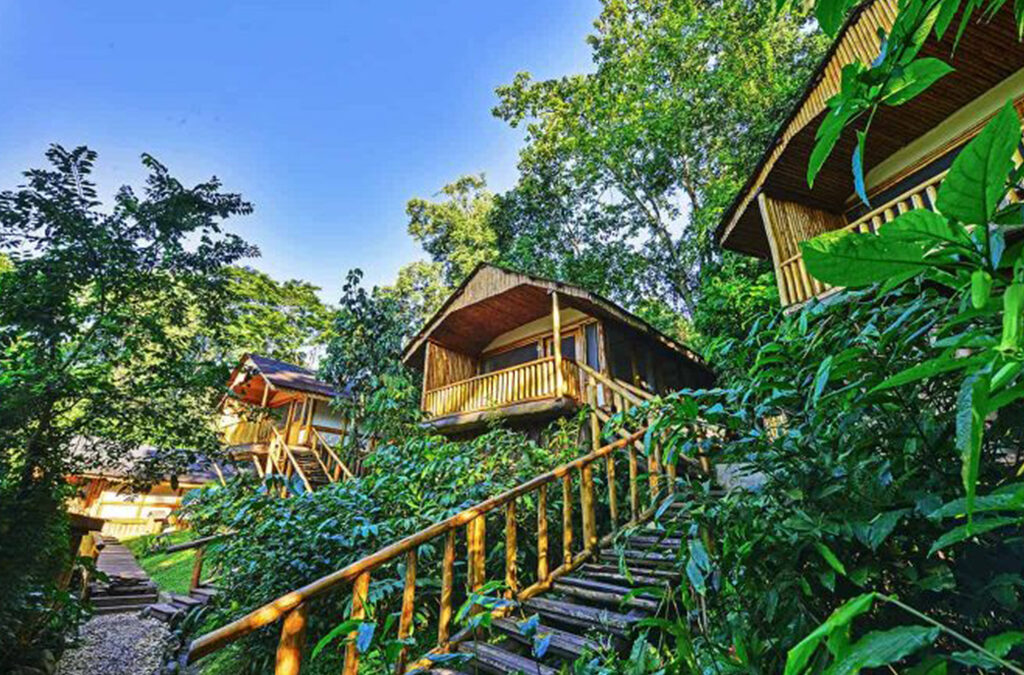 Sustainable Lodges Near Gorilla Parks