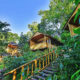 Sustainable Lodges Near Gorilla Parks
