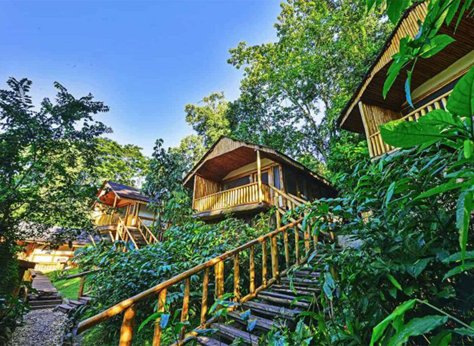 Sustainable Lodges Near Gorilla Parks