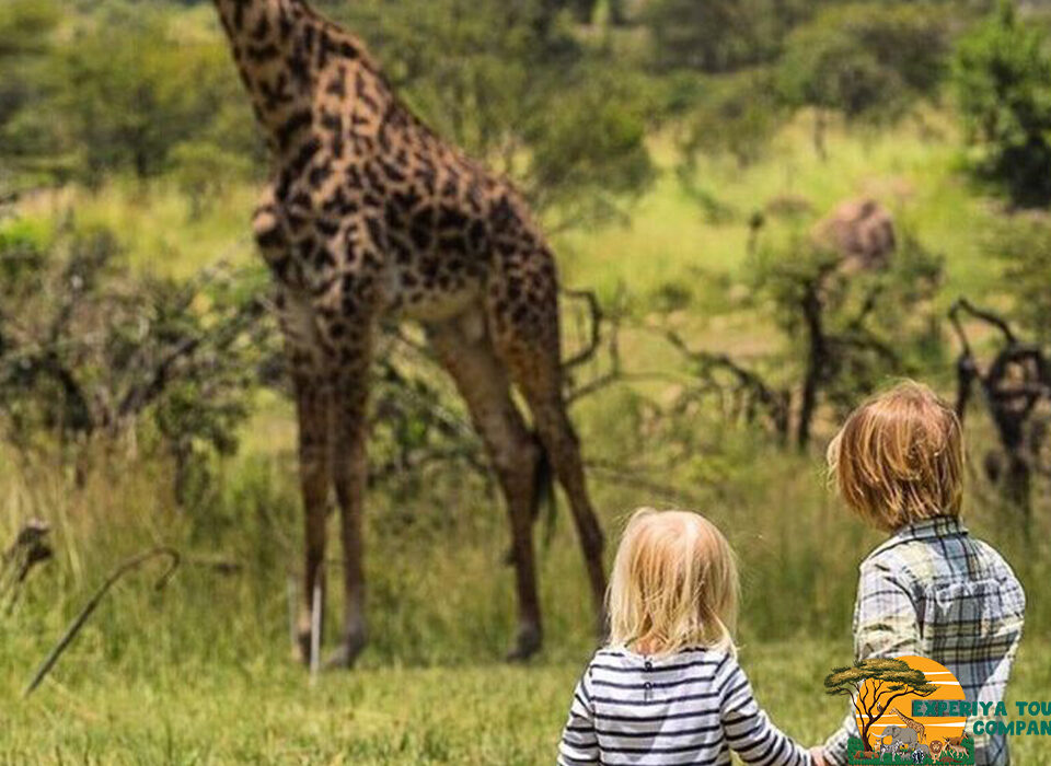 Is It Okay to Bring Children on Safari?