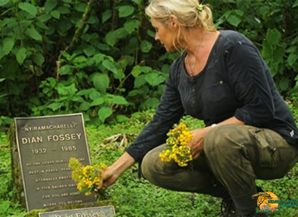 Dian Fossey Grave Hike: A Trek to Honor a Conservation Legend