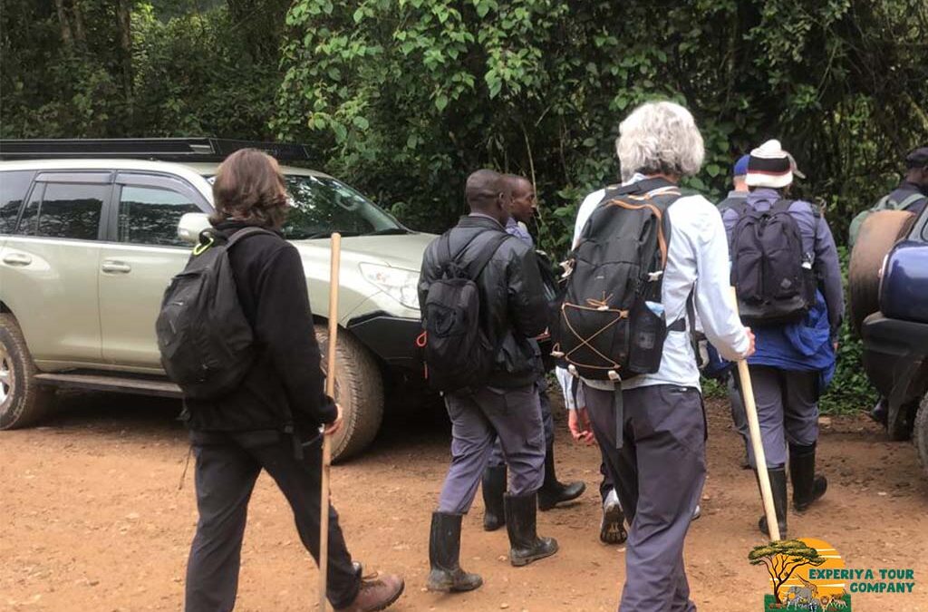 What Makes Uganda a Different Destination