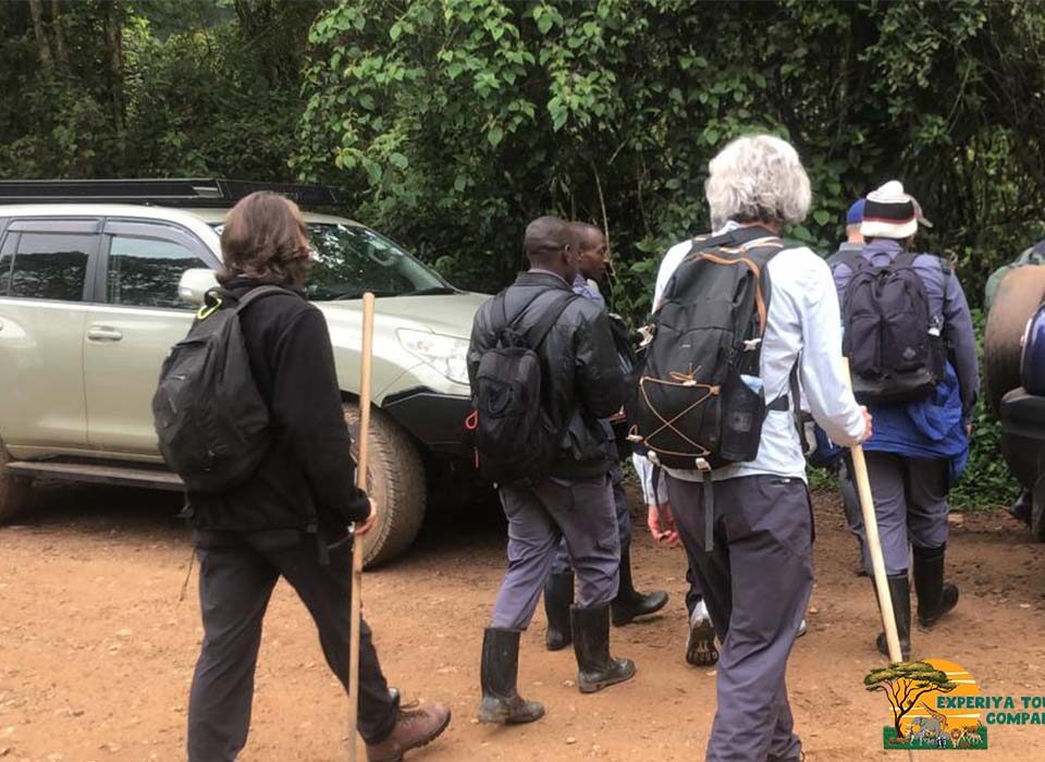 What Makes Uganda a Different Destination