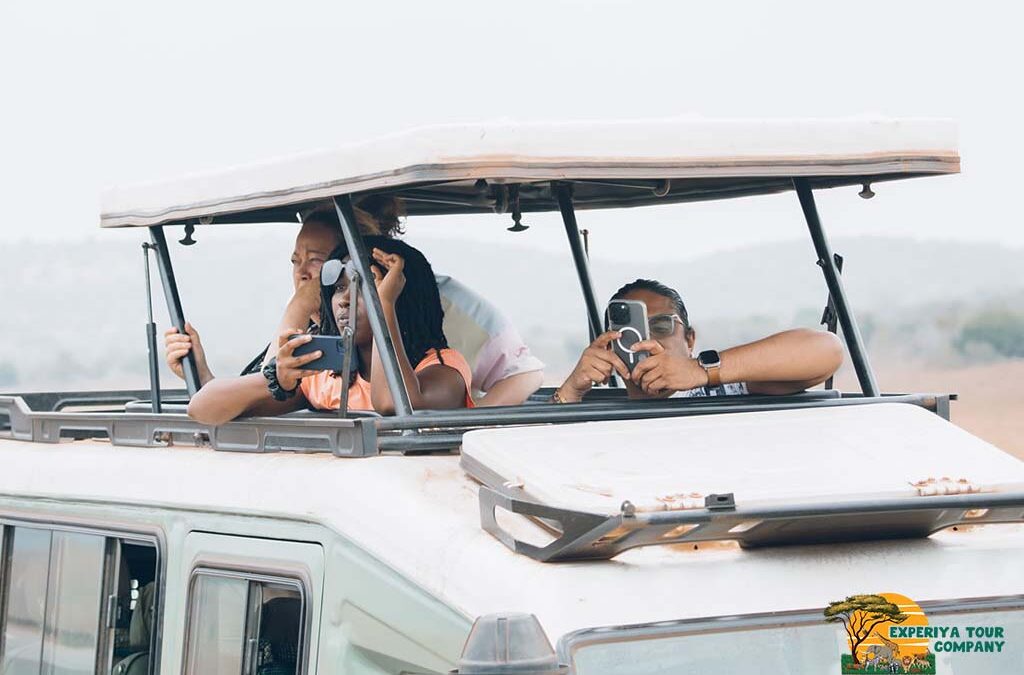 The Budget Traveler’s Guide to Rwanda Safaris