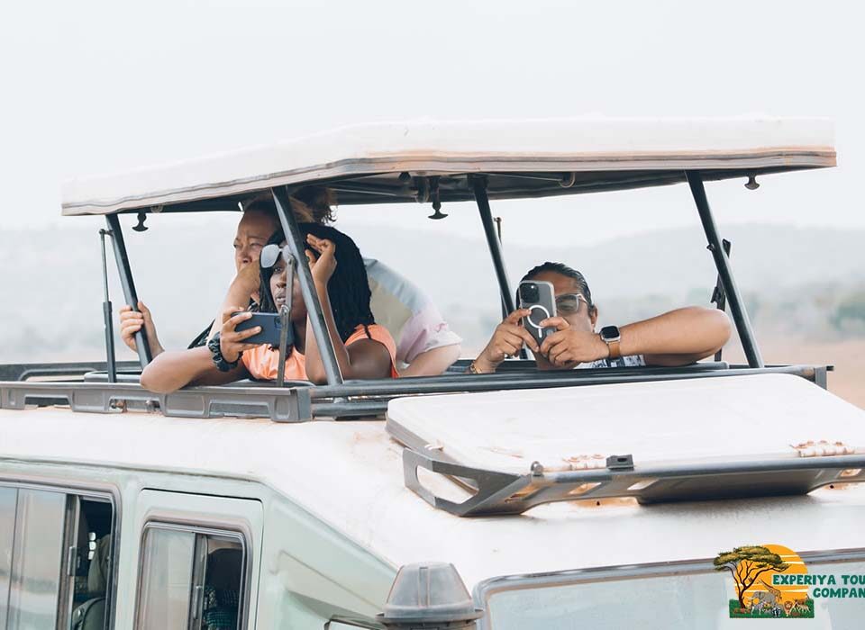 The Budget Traveler’s Guide to Rwanda Safaris