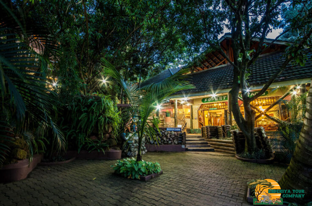 Midrange Accommodation in Uganda