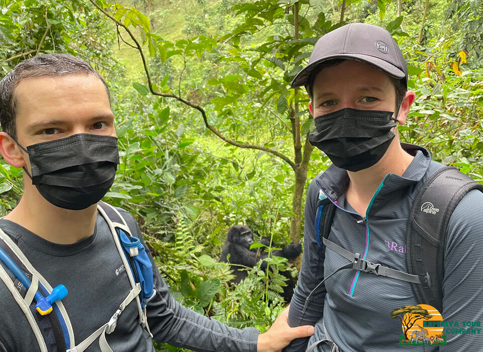 The Role of a Gorilla Trekking Certificate